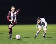 28.Spieltag BFC Dynamo - Hertha BSC II,