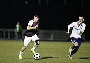 24.Spieltag BFC Dynamo - Hertha BSC II