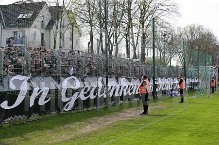 29.Spieltag BSG Chemie Leipzig - BFC Dynamo