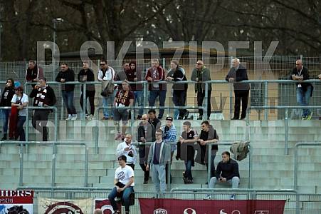 23.Spieltag TSG Neustrelitz - BFC Dynamo