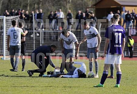 25.Spieltag Tennis Borussia Berlin - BFC Dynamo 25.Spieltag Tennis Borussia Berlin - BFC Dynamo