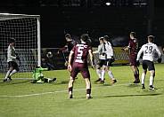 18.Spieltag BFC Dynamo - ZFC Meuselwitz,