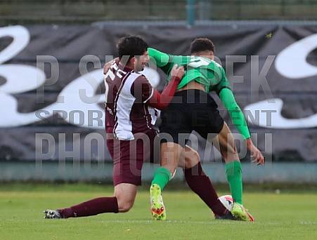 17.Spieltag BFC Dynamo - FSV Union Fürstenwalde,