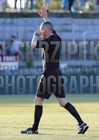 BFC Dynamo - BFC Dynamo Allstars Team,