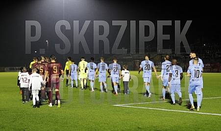 12.Spieltag BFC Dynamo - FC Viktoria 1889 Berlin