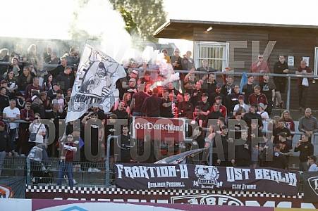 BFC Dynamo - BFC Dynamo Allstars Team,