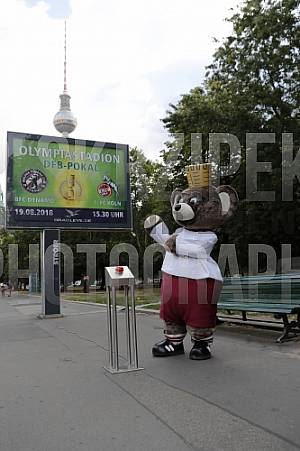 Werbung mit Teddy für die 1.Runde im DFB-Pokal Werbung mit Teddy für die 1.Runde im DFB-Pokal