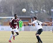 25.Spieltag FSV Budissa Bautzen - BFC Dynamo