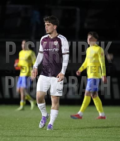 16.Spieltag BFC Dynamo - FSV 63 Luckenwalde