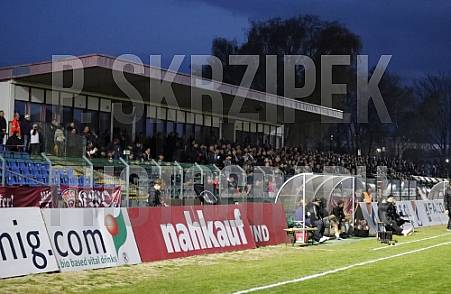 35.Spieltag BFC Dynamo - Tennis Borussia Berlin,