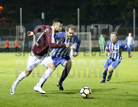 14.Spieltag Hertha BSC II - BFC Dynamo