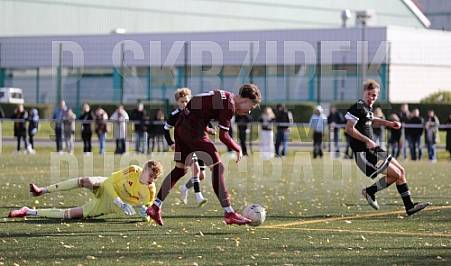 8.Spieltag BFC Dynamo U17 - 1.FC Union U16
