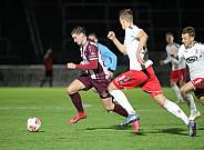 24.Spieltag BFC Dynamo - ZFC Meuselwitz,