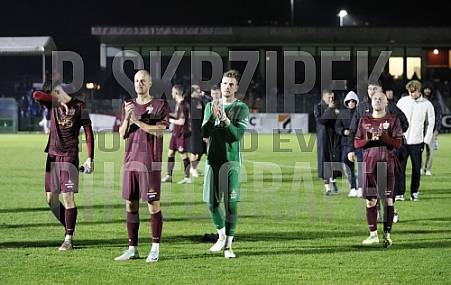 12.Spieltag BFC Dynamo - FC Viktoria 1889 Berlin