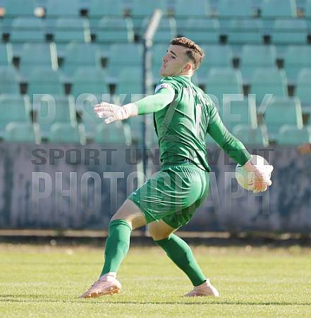 8.Spieltag BFC Dynamo U19 - FC Energie Cottbus U19 ,