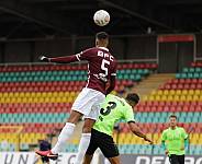 14.Spieltag BFC Dynamo - FSV Union Fürstenwalde ,