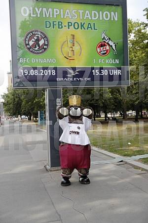 Werbung mit Teddy für die 1.Runde im DFB-Pokal Werbung mit Teddy für die 1.Runde im DFB-Pokal