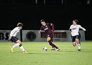 18.Spieltag BFC Dynamo - ZFC Meuselwitz,