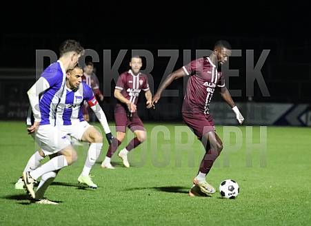 16.Spieltag BFC Dynamo -  Hertha BSC II