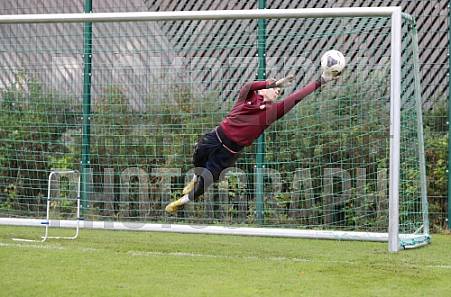 Training vom 24.10.2023 BFC Dynamo