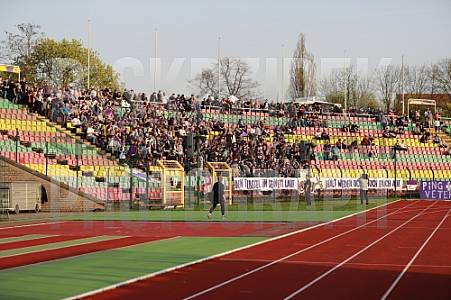 Halbfinale Berliner Pilsner-Pokal BFC Dynamo - Tennis Borussia Berlin