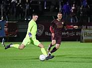 12.Spieltag BFC Dynamo - FC Viktoria 1889 Berlin