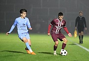 14.Spieltag BFC Dynamo - FC Viktoria 1889 Berlin