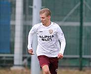 Testspiel BFC Dynamo - SV Babelsberg 03,