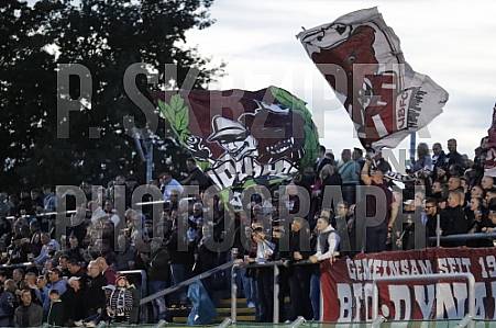 13.Spieltag BFC Dynamo - FSV Optik Rathenow,