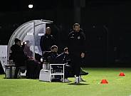 18.Spieltag BFC Dynamo - ZFC Meuselwitz,