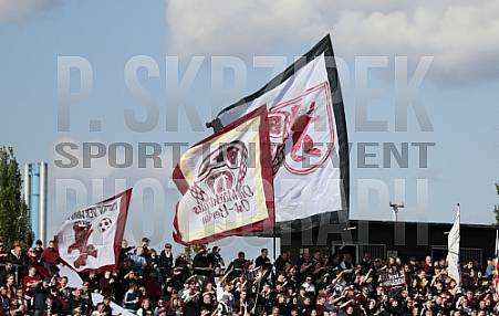 11.Spieltag BFC Dynamo - FSV Zwickau 11.Spieltag BFC Dynamo - FSV Zwickau