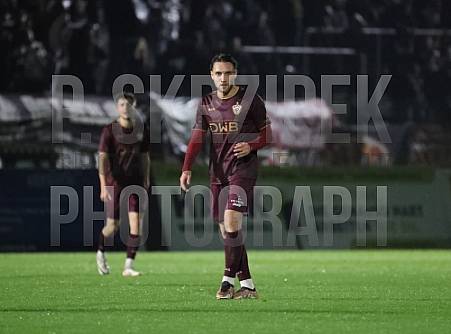 12.Spieltag BFC Dynamo - FC Viktoria 1889 Berlin