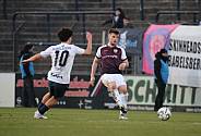 23.Spieltag SV Babelsberg 03 - BFC Dynamo