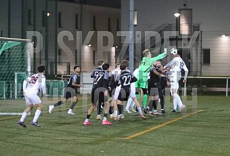 Testspiel 1.FC Wilmersdorf - BFC Dynamo, Testspiel 1.FC Wilmersdorf - BFC Dynamo,