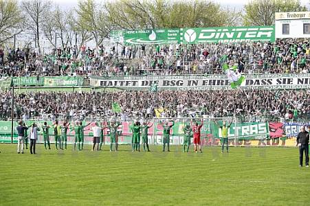 29.Spieltag BSG Chemie Leipzig - BFC Dynamo