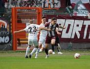 35.Spieltag BFC Dynamo - Tennis Borussia Berlin,