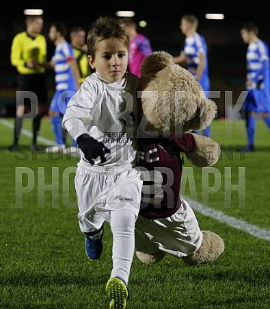 16.Spieltag BFC Dynamo - FSV Wacker 90 Nordhausen, 16.Spieltag BFC Dynamo - FSV Wacker 90 Nordhausen,