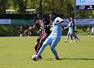 31.Spieltag FC Viktoria 1889 Berlin - BFC Dynamo