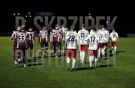 24.Spieltag BFC Dynamo - ZFC Meuselwitz,