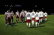 24.Spieltag BFC Dynamo - ZFC Meuselwitz,