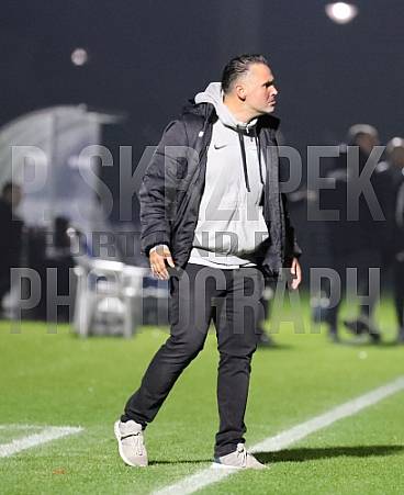 12.Spieltag BFC Dynamo - FC Viktoria 1889 Berlin