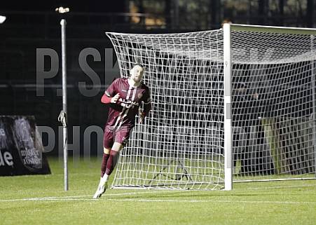 24.Spieltag BFC Dynamo - Greifswalder FC
