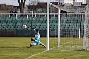 Testspiel BFC Dynamo - SV BW Petershagen/Eggersdorf
