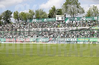 33.Spieltag BSG Chemie Leipzig - BFC Dynamo