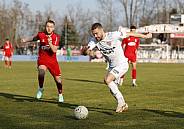 20.Spieltag ZFC Meuselwitz - BFC Dynamo