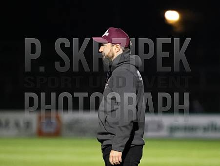 10.Spieltag BFC Dynamo - SV Babelsberg 03