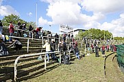 Subbotnik im Sportforum Berlin Stadion , Arbeitseinsatz