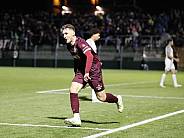 10.Spieltag BFC Dynamo - SV Babelsberg 03