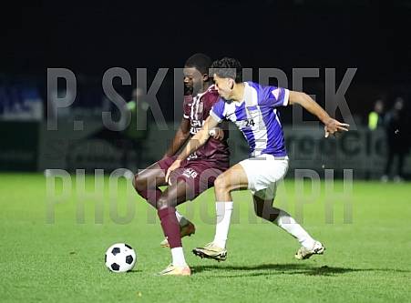 16.Spieltag BFC Dynamo - Hertha BSC II 16.Spieltag BFC Dynamo - Hertha BSC II