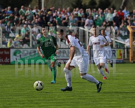 29.Spieltag BSG Chemie Leipzig - BFC Dynamo 29.Spieltag BSG Chemie Leipzig - BFC Dynamo